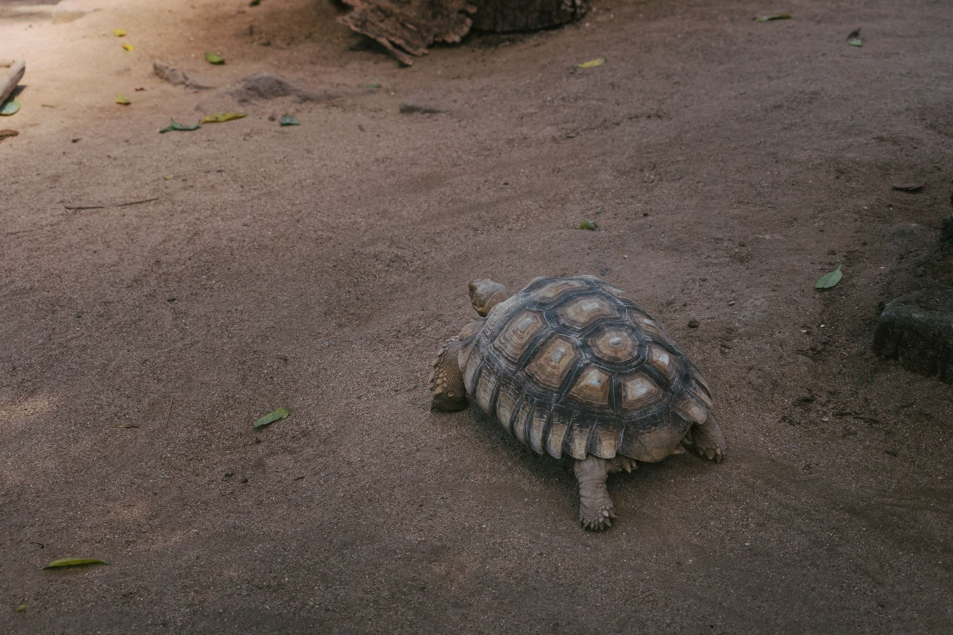 What's Actually Slowing Your WordPress Site Down in 2026