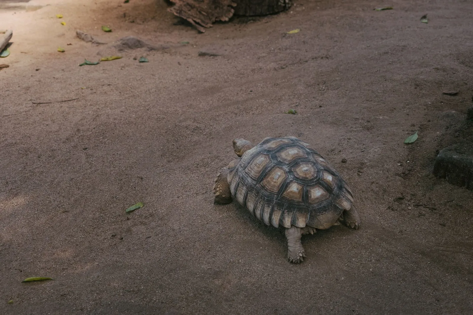 What's Actually Slowing Your WordPress Site Down in 2026